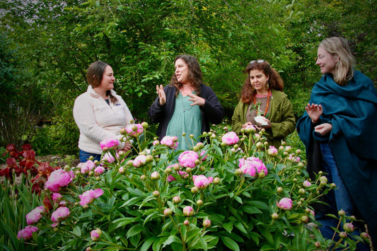Floral Consciousness and the Wisdom of Nature |