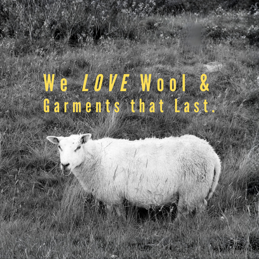 BOTANICAL CLOSET SPRAY